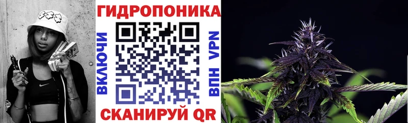 Бошки Шишки индика  закладка  Горбатов 